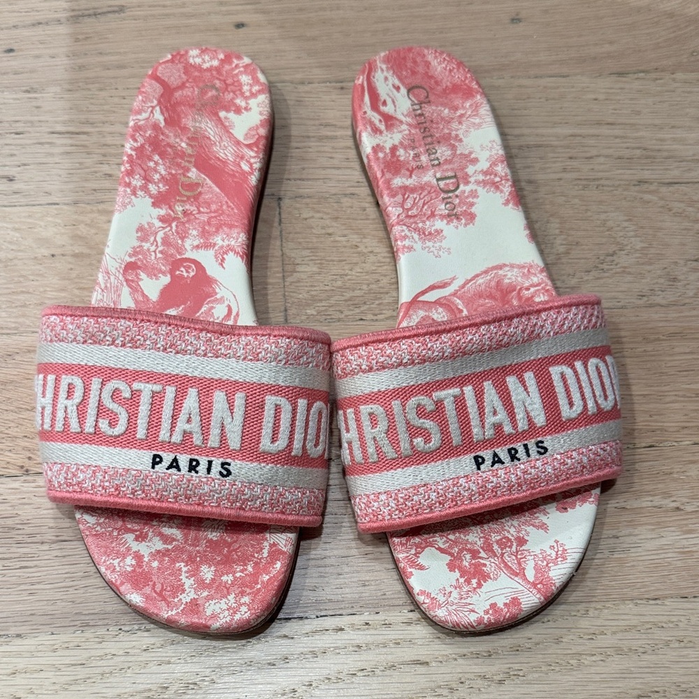 Christian Dior Dway Slides Pink